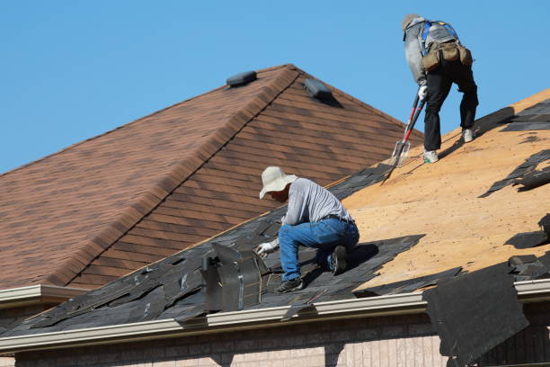 Best Skylight Installation and Repair  in California, PA